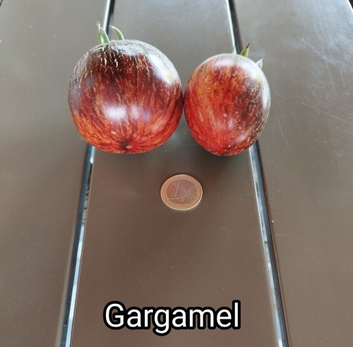 Tomatensamen gargamel 15 - |,