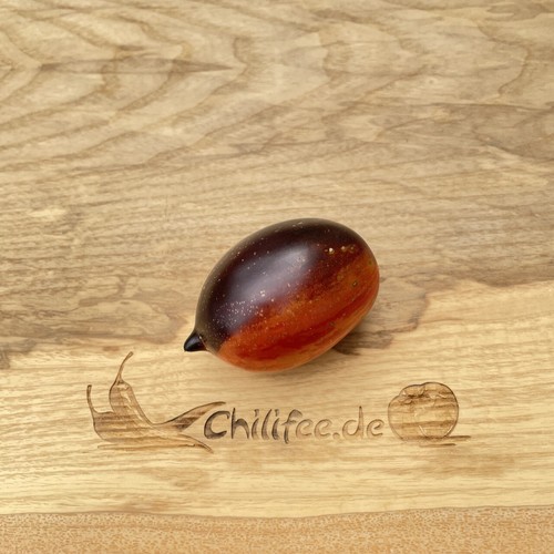 Gargamel blaue tomate mit - tomate,