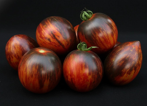 Gargamel tomatensamen - gargamel-tomatensamen;, (0,1